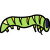 Caterpillar Class (Year 1&amp;2)