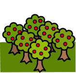 Orchard Class (Year 5)