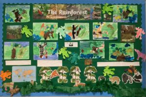 Our Rainforest Display