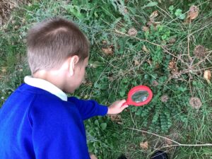 Outdoor Learning